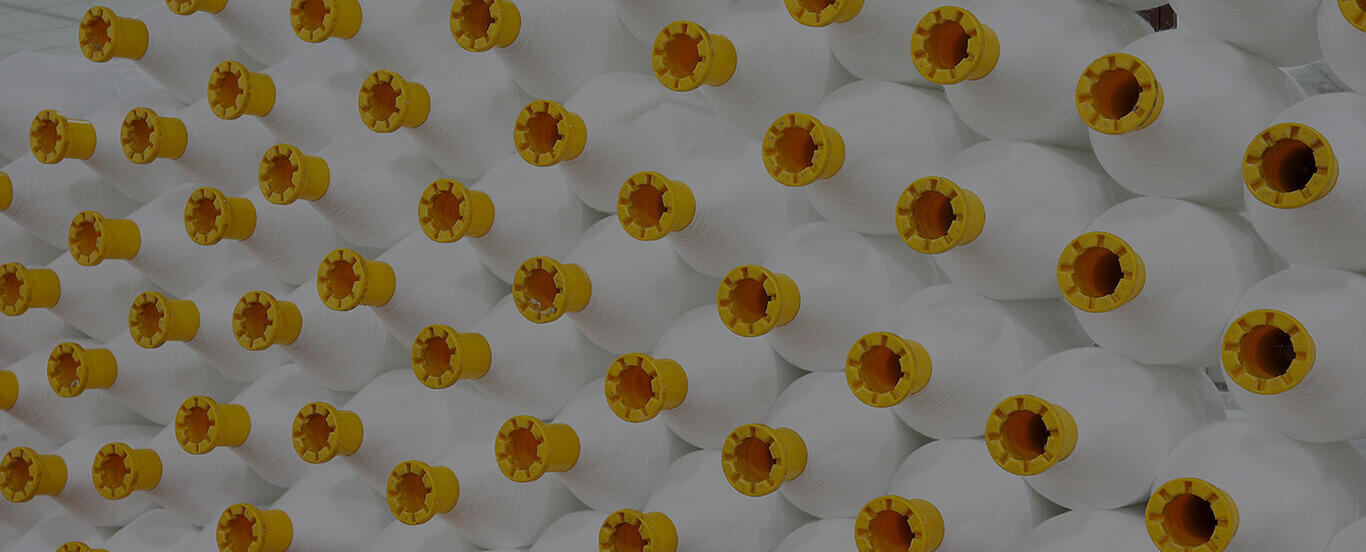 banner2